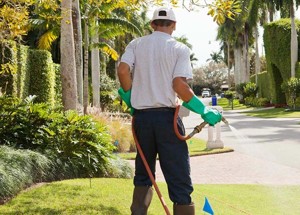 About Stapleton NE Pest Control